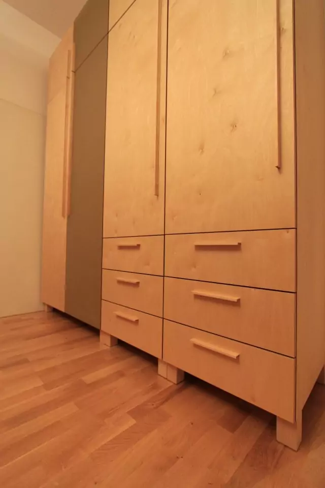 Kleiderschrank aus Birke und Linoleum